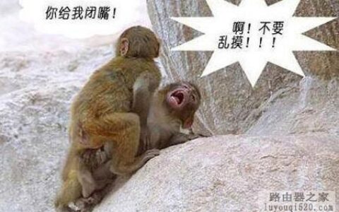 路由接路由方法-通俗易懂