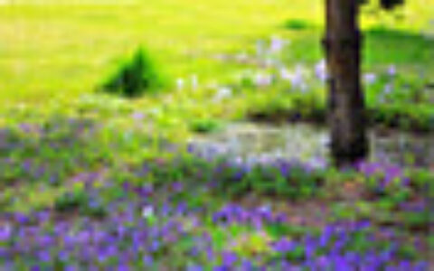 玩转无线宽带路由猫 共享上网设置指南