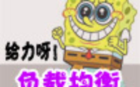 专题：华为路由器配置