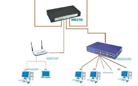 性价比磊科路由器小型企业网络方案(图
