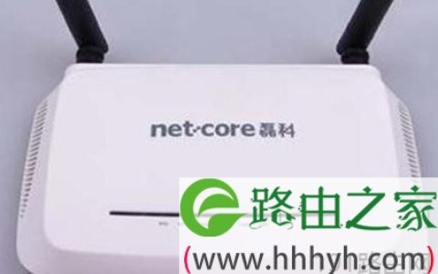 磊科NW714路由器NAT功能详解