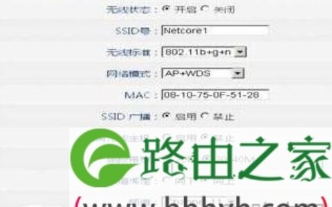 磊科NW715P路由器桥接方法