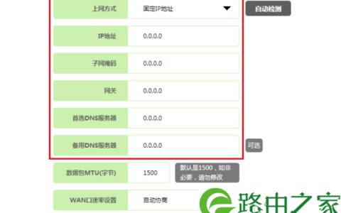 填写IP地址、子网掩码、网关、DNS 参数