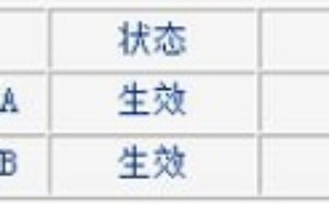 运行上网的无线设备的MAC地址