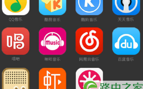 iOS系统中，支持的播放软件