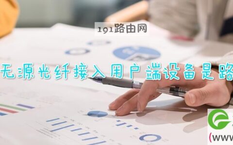吉比特无源光纤接入用户端设备是路由器吗