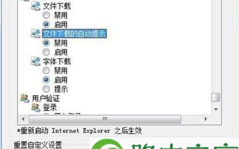 IE浏览器已阻止从此站点下载文件怎么办