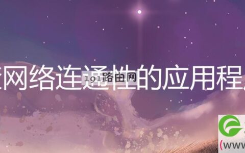 检查网络连通性的应用程序是