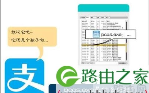 进程pcas.exe是什么 可以结束吗