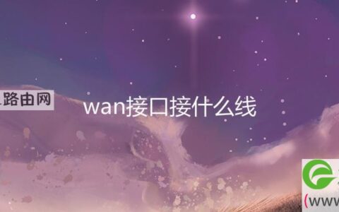 wan接口接什么线