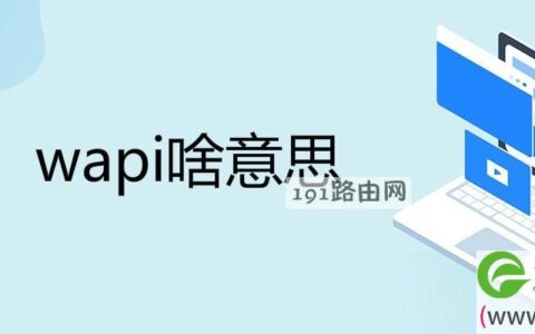 wapi啥意思