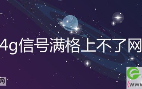 4g信号满格上不了网