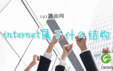 internet属于什么结构