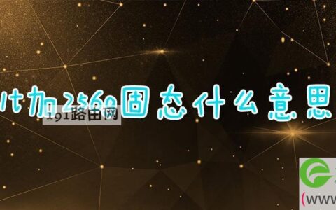 1t加256g固态什么意思