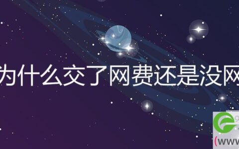 为什么交了网费还是没网