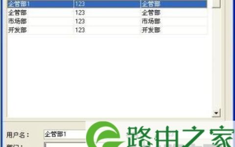 NETKING网络监控管理系统远程用户的查询分级权限设置教程