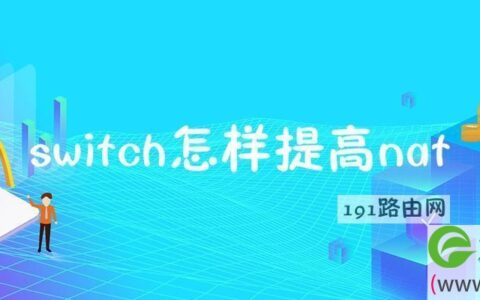 switch怎样提高nat
