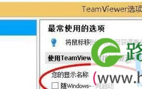 teamviewer
