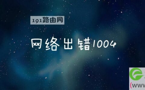 网络出错1004