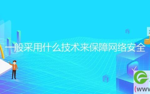 一般采用什么技术来保障网络安全