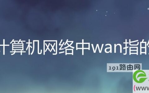 在计算机网络中wan指的是