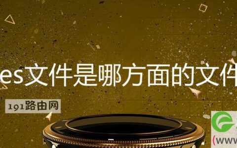 ies文件是哪方面的文件