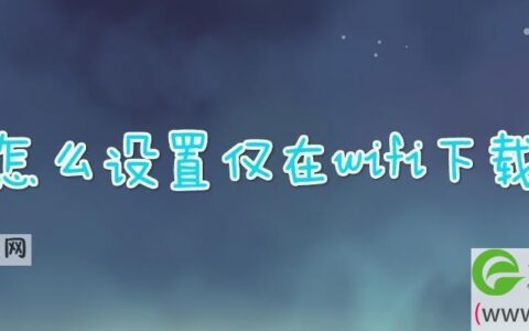 怎么设置仅在wifi下载