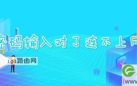 密码输入对了连不上网