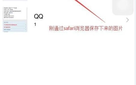 mac系统的safari保存网页图片教程