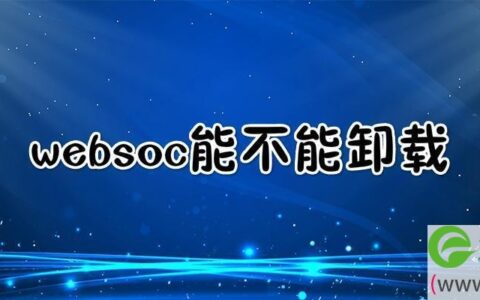 websoc是啥可以卸载吗