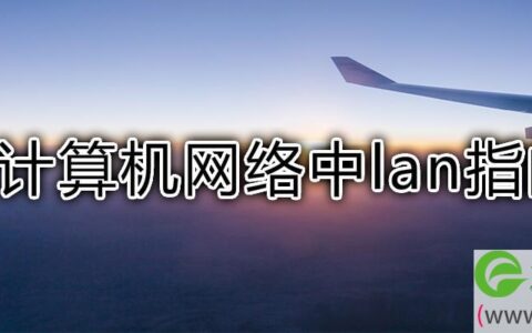 在计算机网络中lan指的是