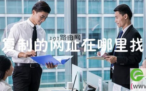 复制的网址在哪里找呢