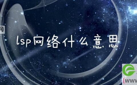 lsp网络什么意思