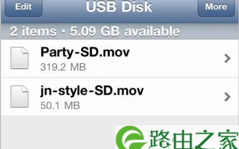 USB Disk