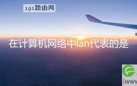 在计算机网络中lan代表的是