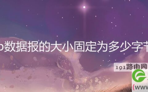 ip数据报的大小固定为多少字节