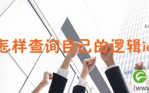 怎样查询自己的逻辑id