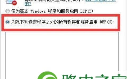 access violation解决 access violation at address什么意思