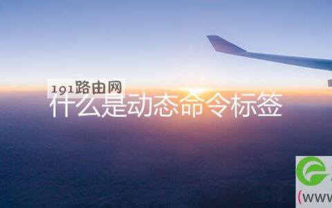 什么是动态命令标签