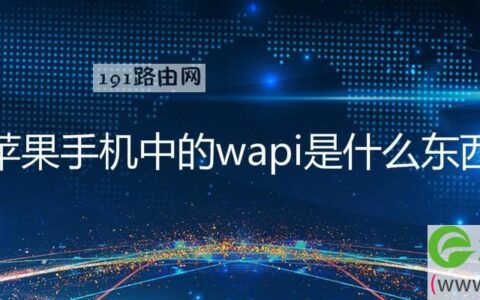 苹果手机中的wapi是什么东西(图文)