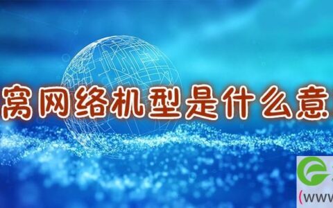 蜂窝网络机型是什么意思