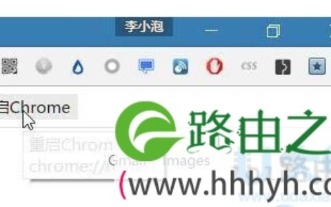 Chrome浏览器占用内存过大解决方法