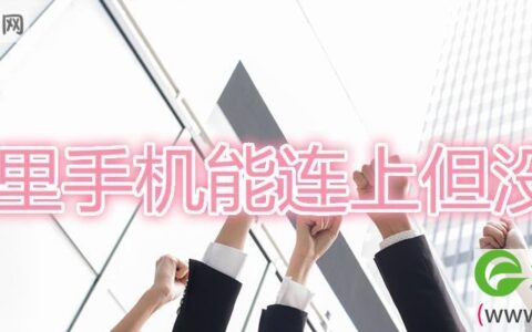 家里手机能连上但没网