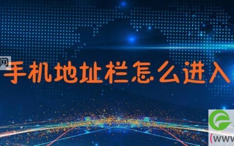 手机地址栏怎么进入