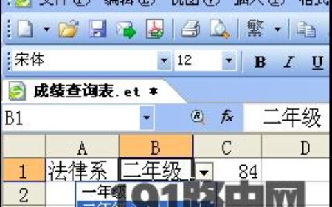 表格中自适应成绩查询系统使用方法