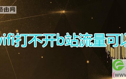 wifi打不开b站流量可以
