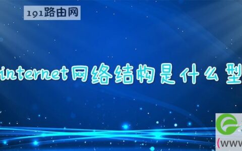 internet网络结构是什么型