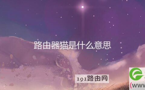 路由器猫是什么意思