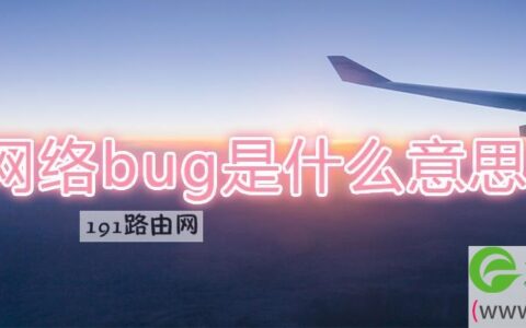 网络bug是什么意思啊