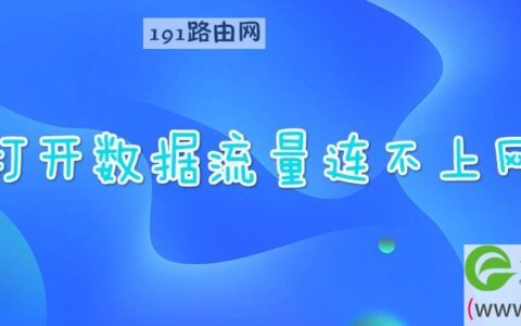 打开数据流量连不上网